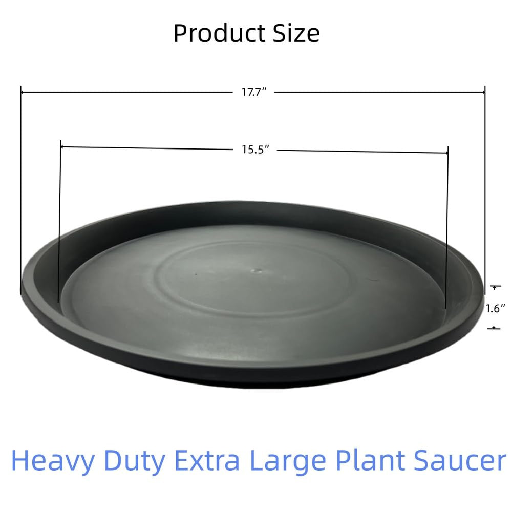 Kichwit side view showing 1.6 inch depth to catch overflow and prevent spills