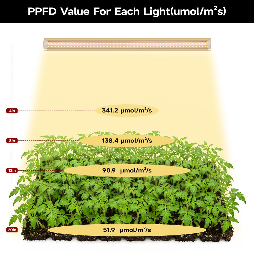 Kihung reflector detail highlighting concentrated beam and increased PPFD