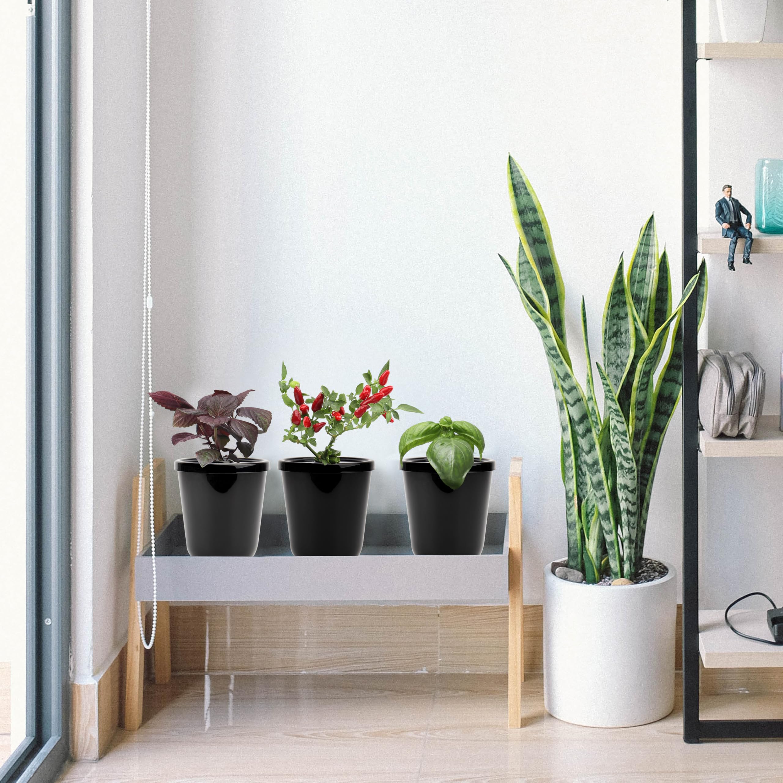 Kiicii windowsill display of planters showing decorative greenery and space-saving benefit