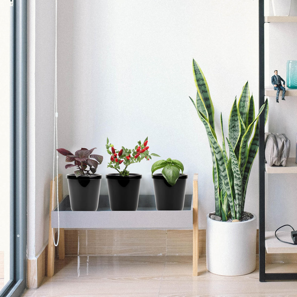 Kiicii windowsill display of planters showing decorative greenery and space-saving benefit