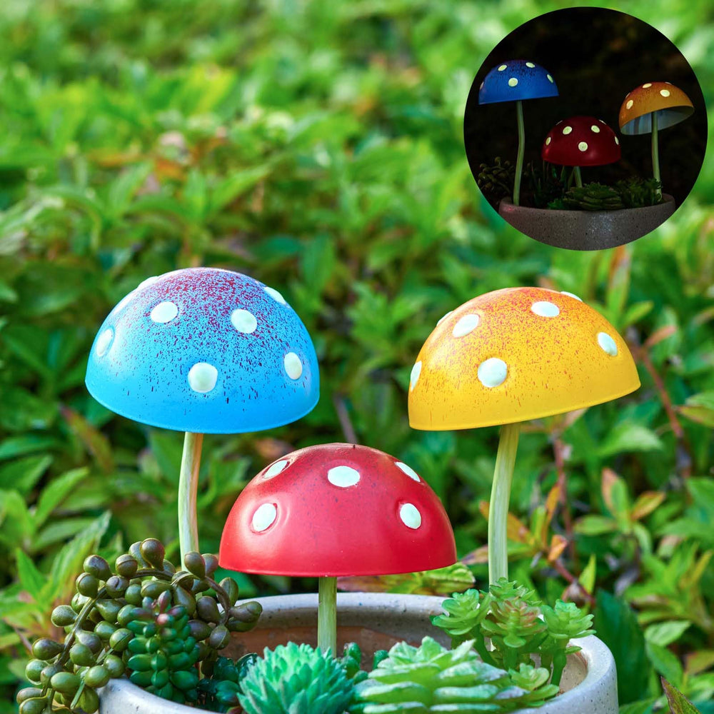 KIKTOP close-up of painted mushroom cap shows durable texture