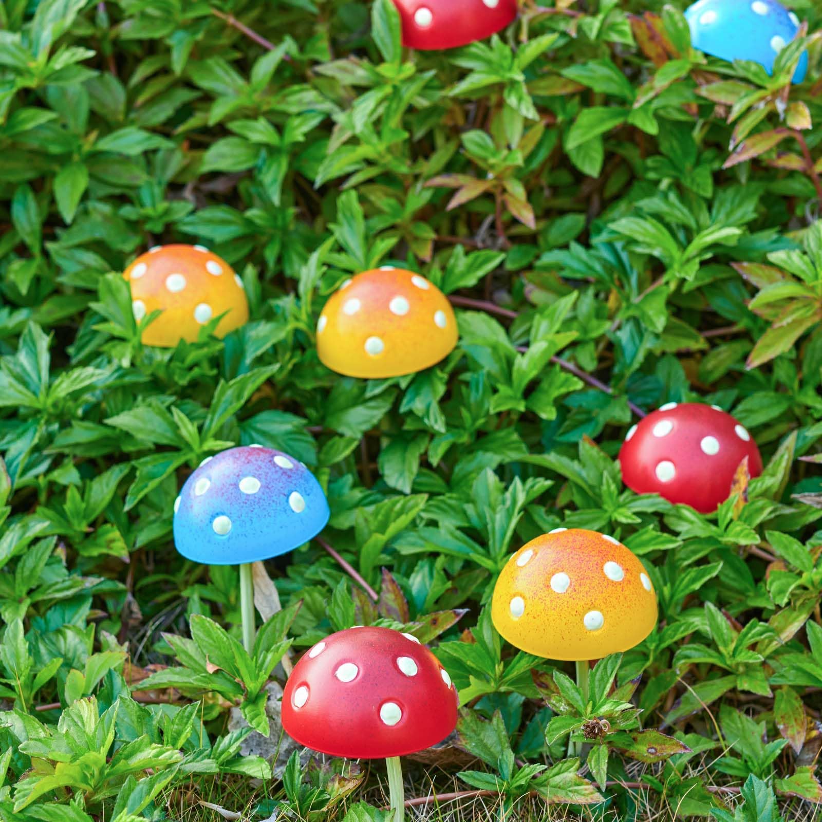 KIKTOP mushrooms clustered in garden bed brighten plant borders