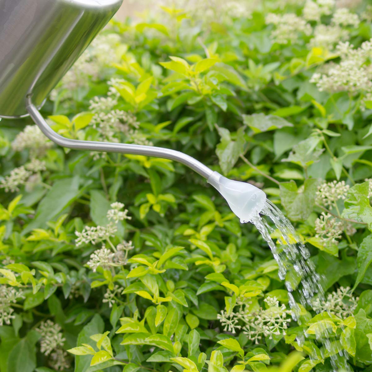 KIMZDA with spray nozzle attached demonstrating gentle shower for seedlings