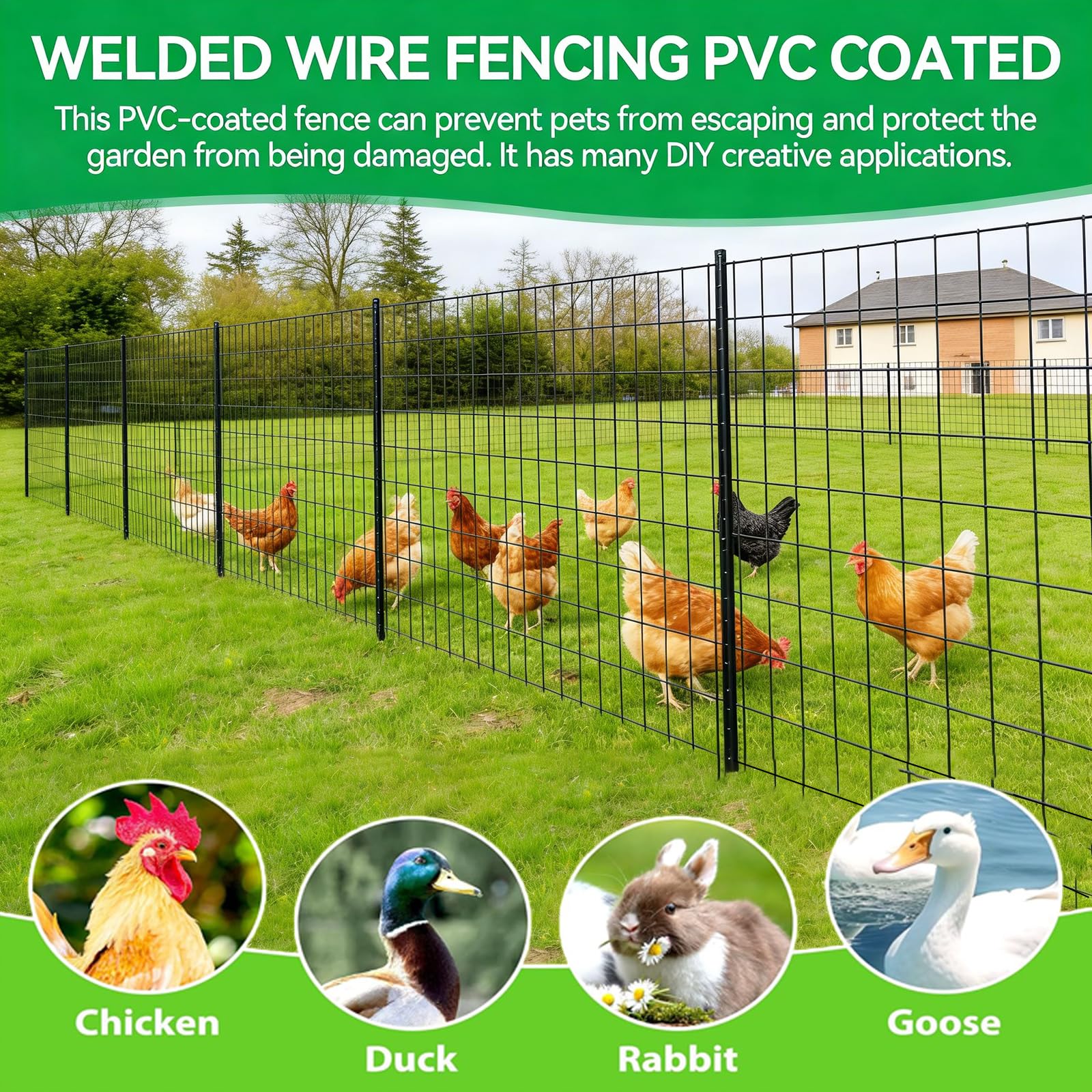 KIMZHE installed at a chicken coop demonstrating containment and tidy appearance benefit