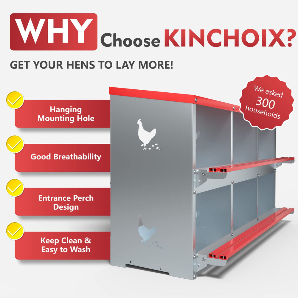 Kinchoix egg collection shot with clean eggs ready to collect, simplifying daily chores