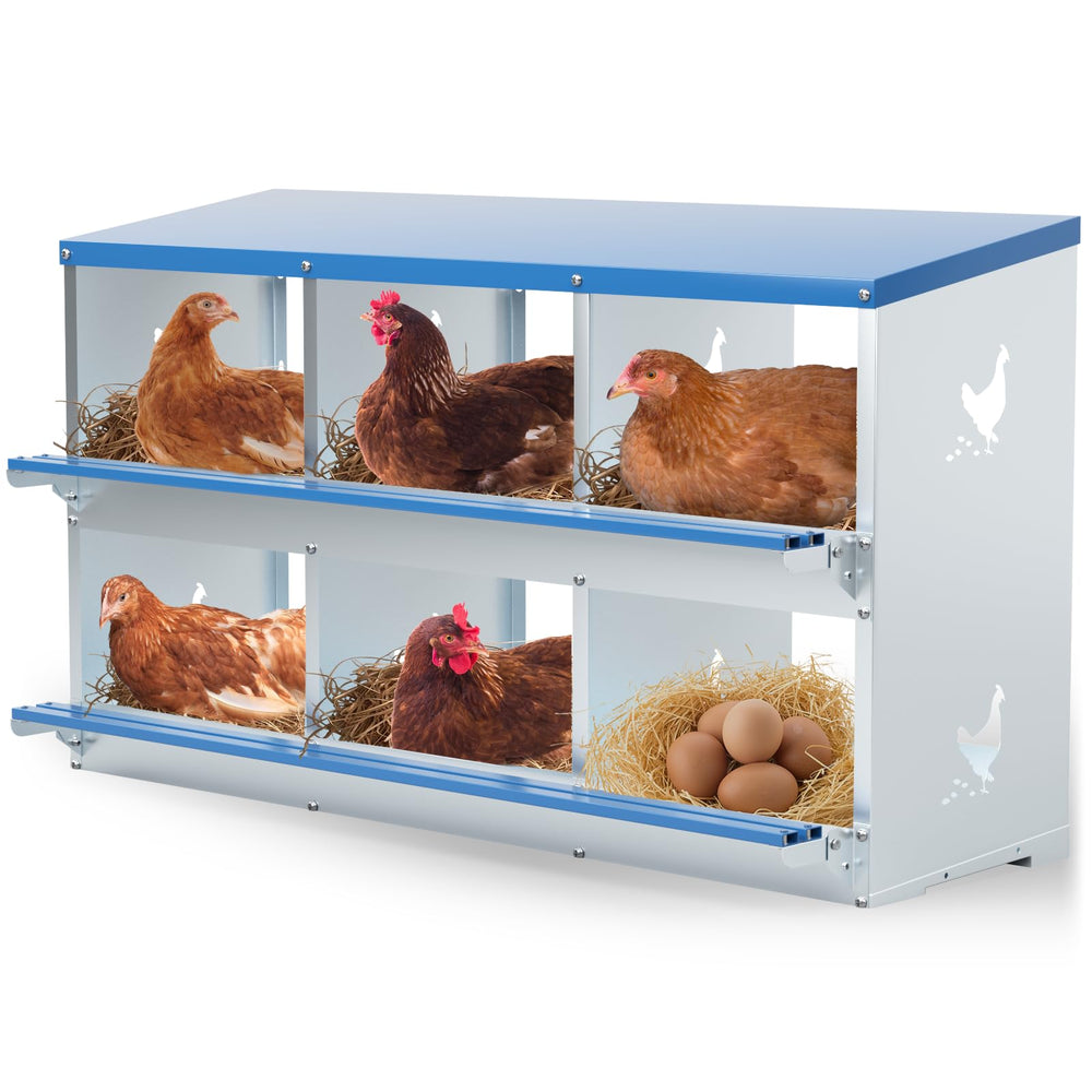 Kinchoix front view showing six compartments and easy egg access benefit