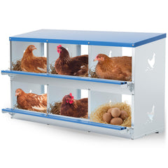 Kinchoix front view showing six compartments and easy egg access benefit