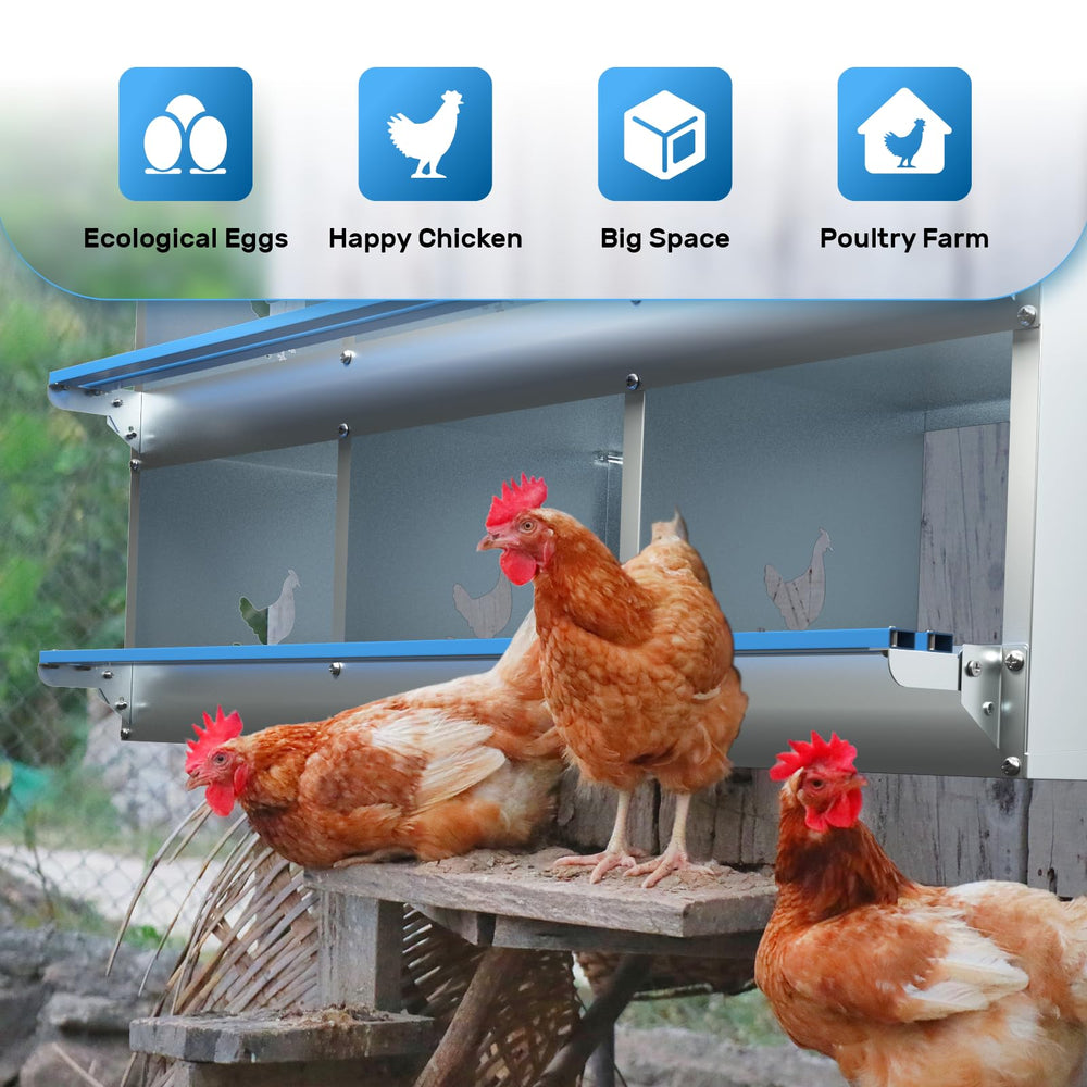 Kinchoix wall-mounted in coop showing convenient access height for collectors