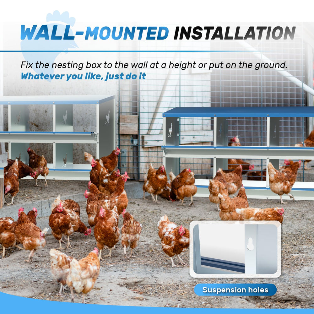 Kinchoix beside adult hen showing scale and comfortable nesting space benefit