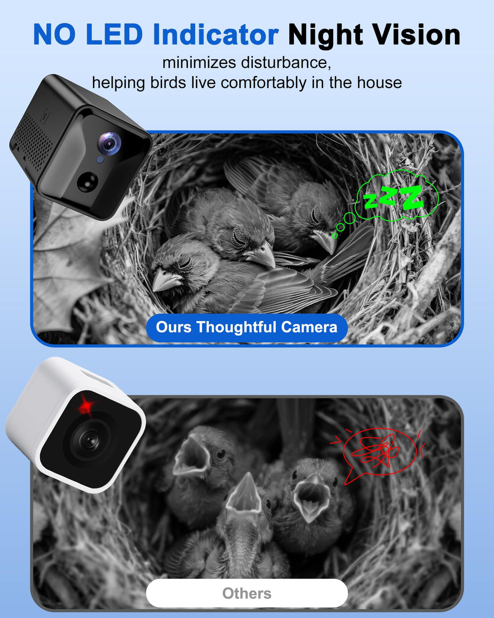 KinetCam interchangeable entrance holes close-up showing three sizes to attract more species