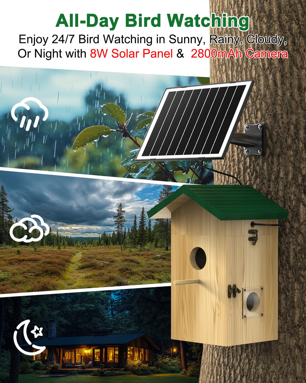 KinetCam three entrance hole options to attract different bird species benefit