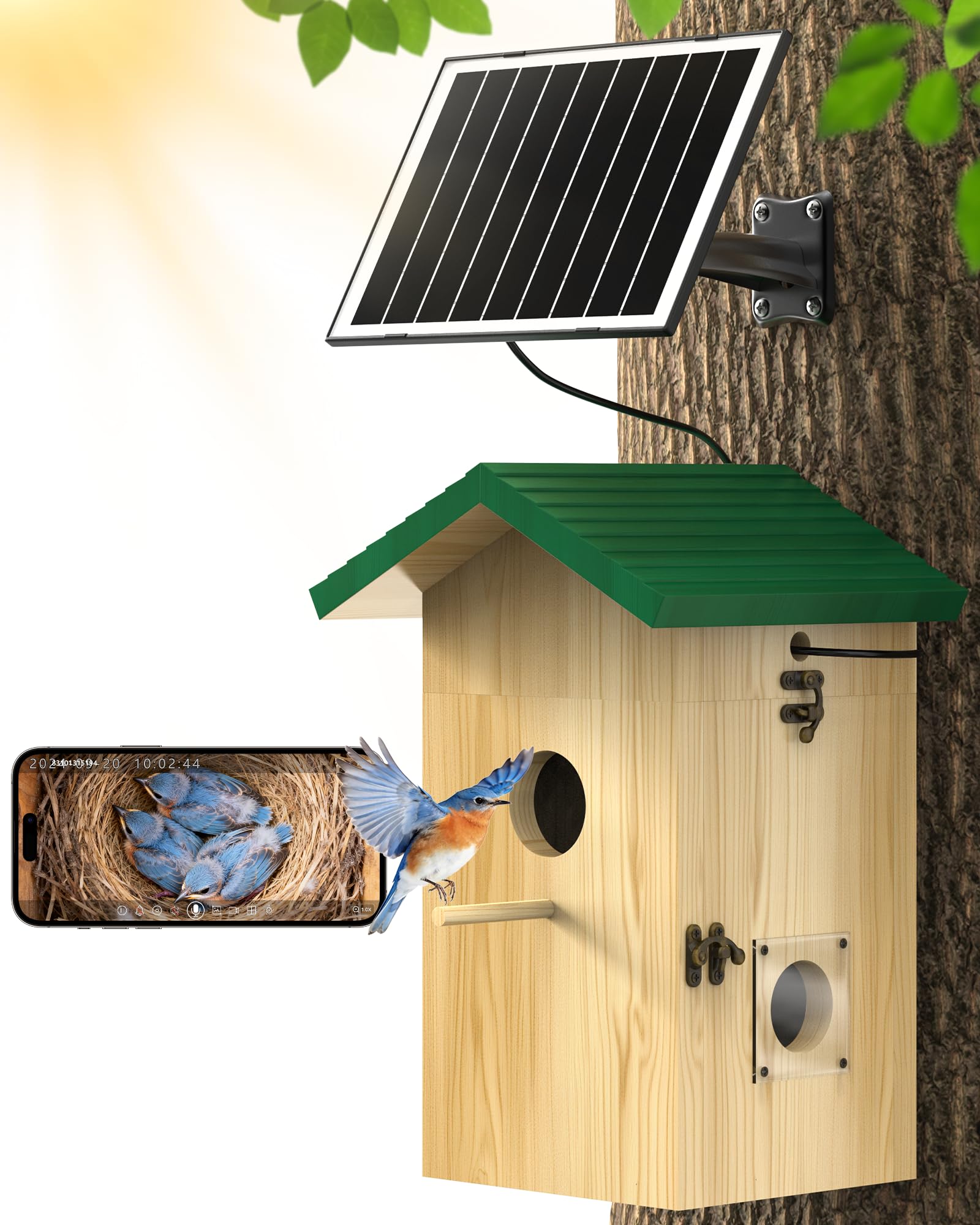 KinetCam front view birdhouse showing wood finish and mounted camera benefit observation