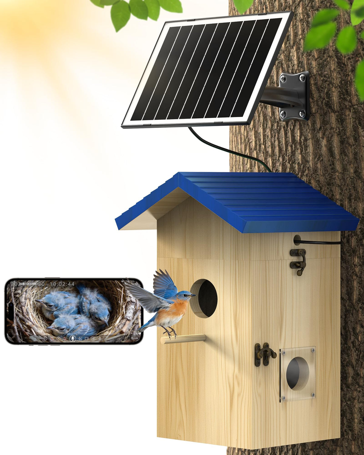 KinetCam front view of bluebird house showing natural wood and camera hole benefit: attracts birds