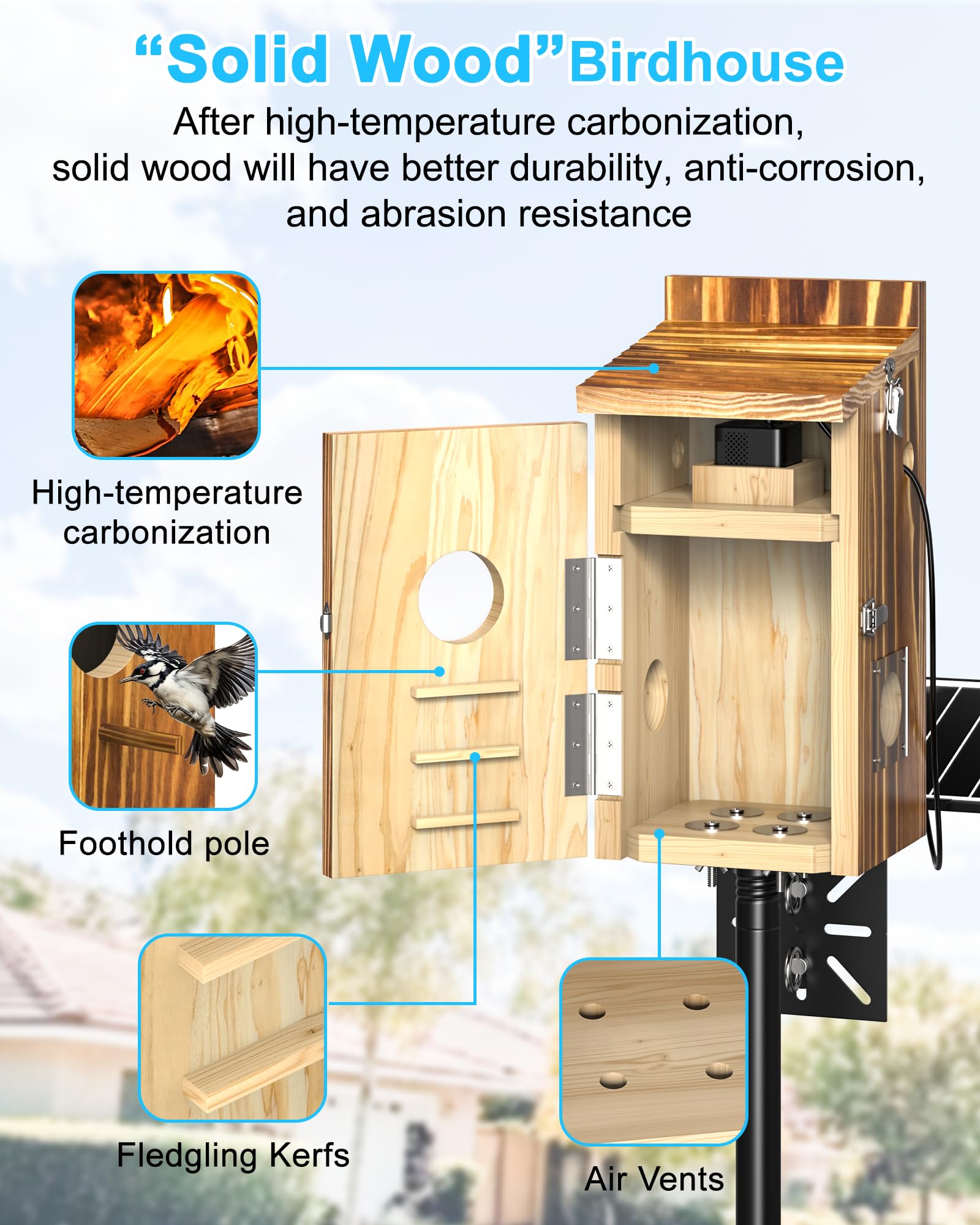 KinetCam interior nest perspective showing roomy cavity for bird comfort and monitoring