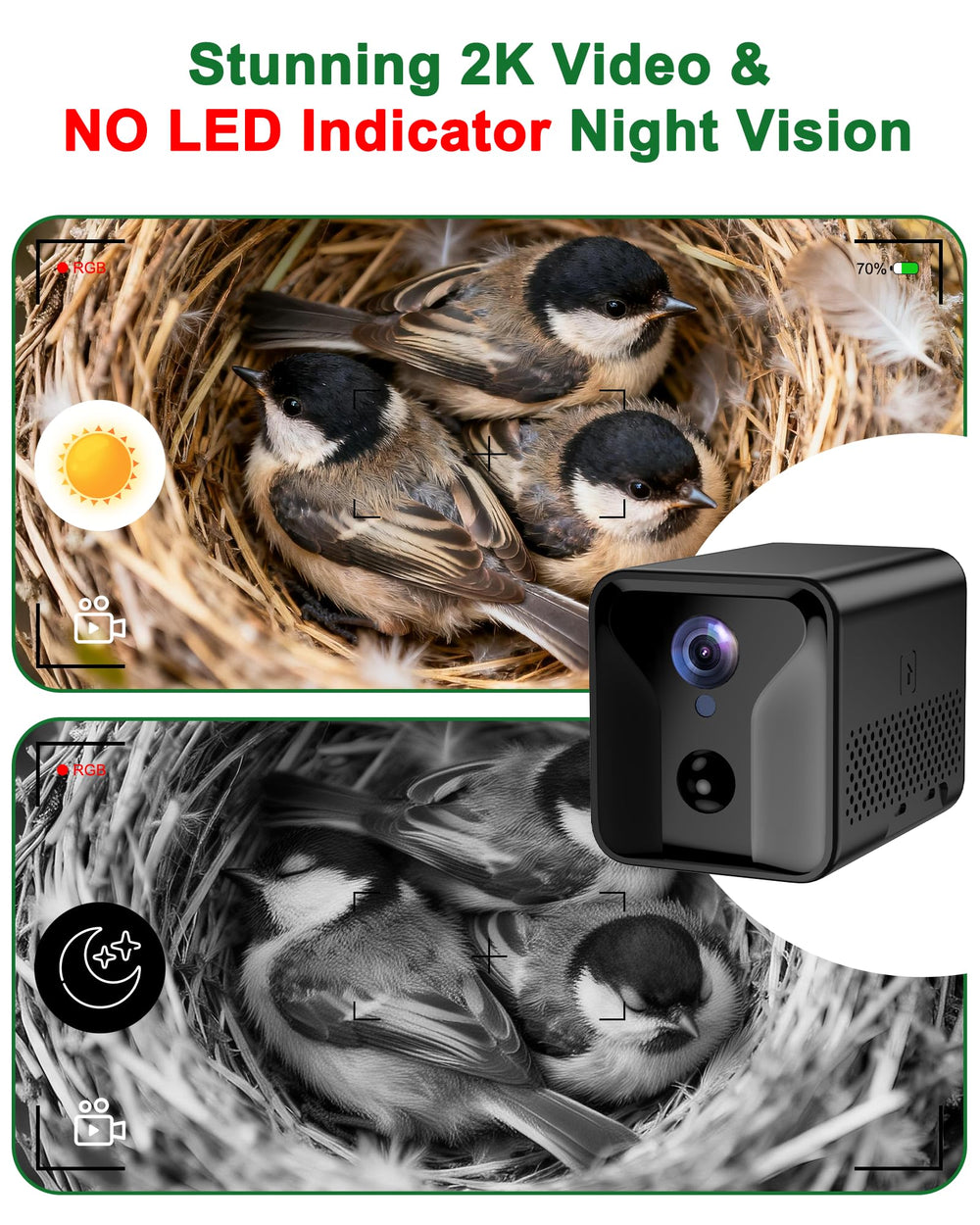 KinetCam infrared night vision image capturing eggs and chicks without visible lights