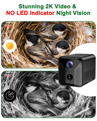 KinetCam infrared night vision image capturing eggs and chicks without visible lights