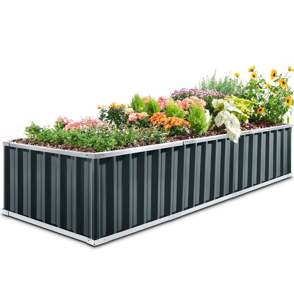 KING BIRD front view full bed showing clean edges and capacity benefit