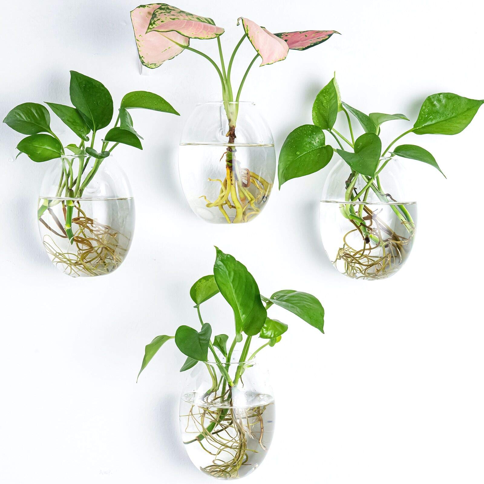 Kingbuy front view of four egg-shaped glass planters showcasing clean aesthetic and space-saving benefit