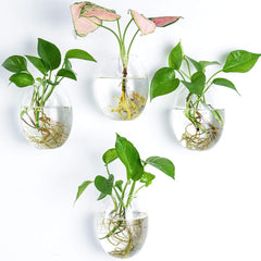 Kingbuy front view of four egg-shaped glass planters showcasing clean aesthetic and space-saving benefit