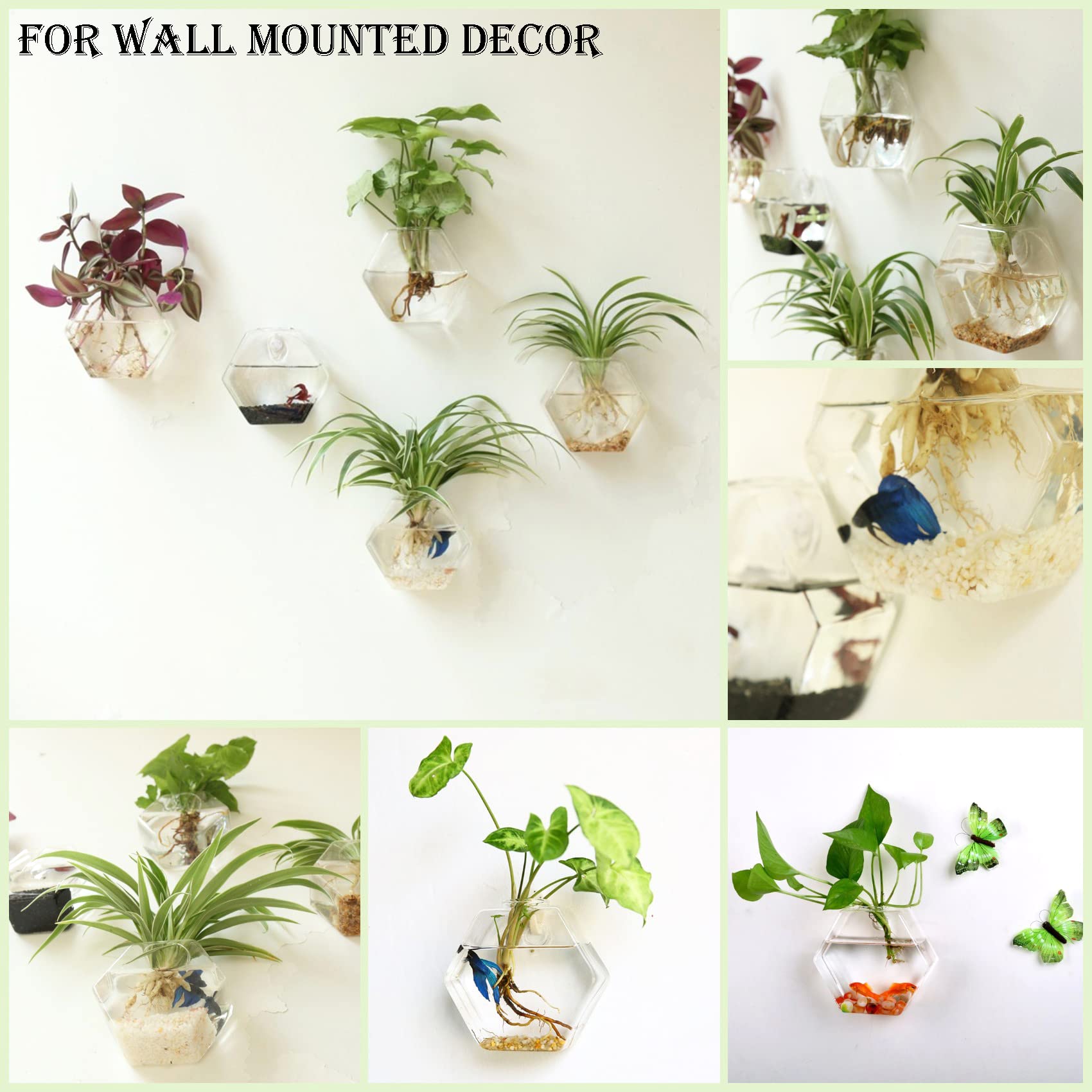 Kingbuy hexagon planter side profile highlighting geometric shape and space-saving benefit