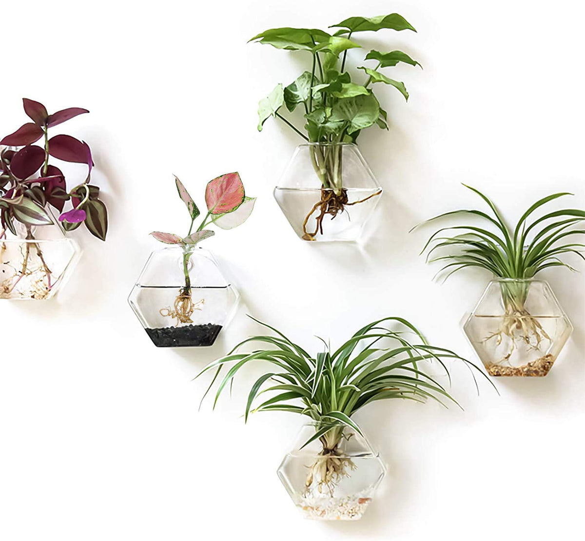 Kingbuy hexagon wall planter front view showing clean modern look and easy styling