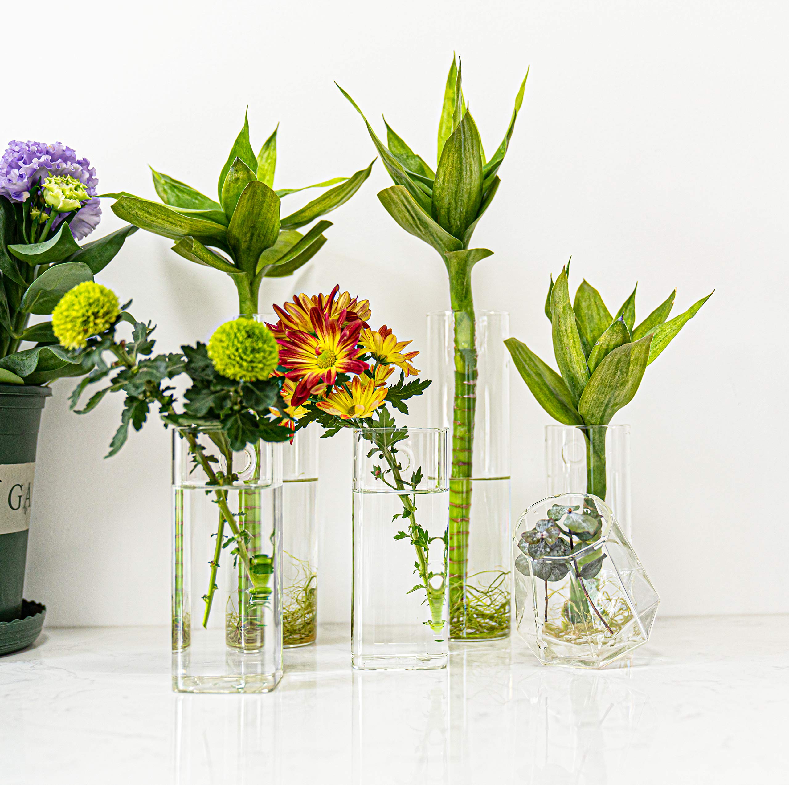 Kingbuy vases as bathroom shelf decor offering stylish plant display benefit
