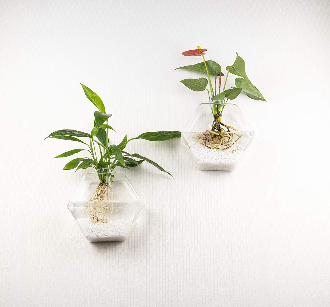 Kingbuy planters mounted on wall in a living room showing decorative impact