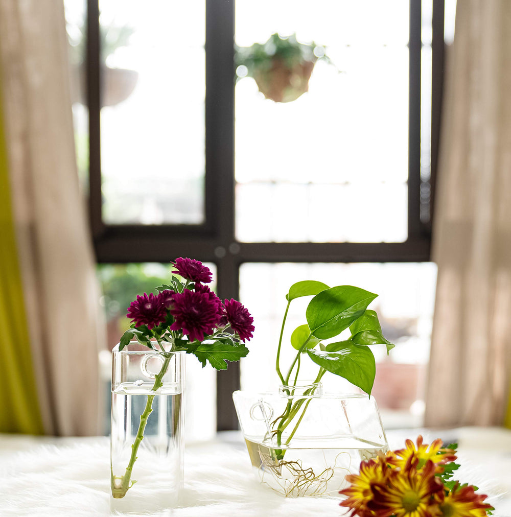 Kingbuy four vases mounted on a painted wall for vertical space-saving benefit