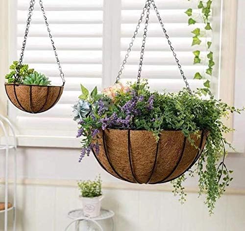 Kingbuy succulent and herb mix in basket showcasing versatile planting