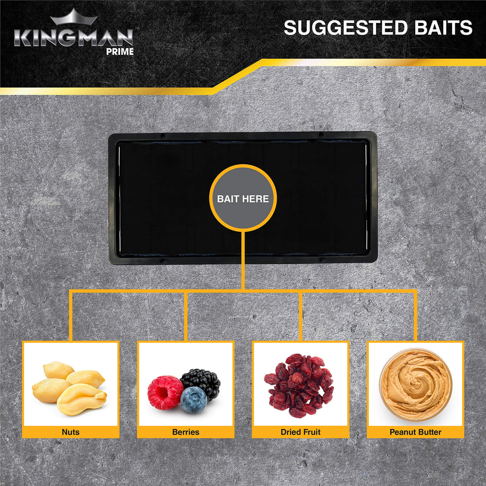 KINGMAN PRIME board next to a hand illustrating large size and heavy-duty stability