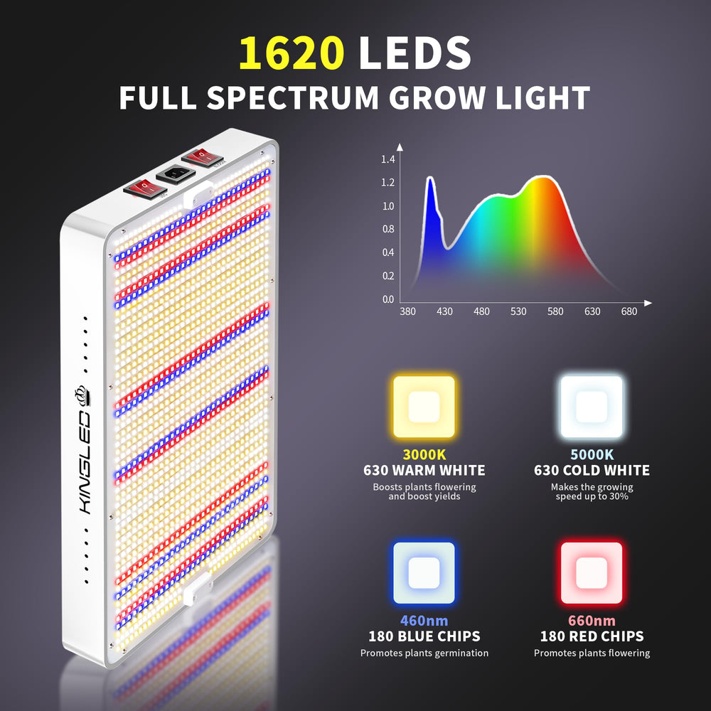 KINGPLUS KingLED KP3000 LED array close-up highlighting diodes and spectrum balance for strong growth
