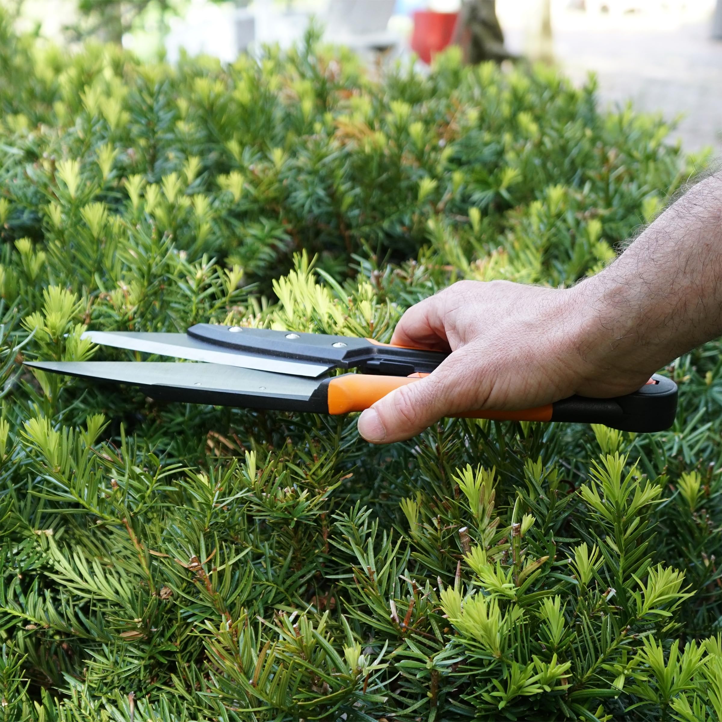 Kings County Tools clippers placed in garden bed illustrating tidy, manicured edges