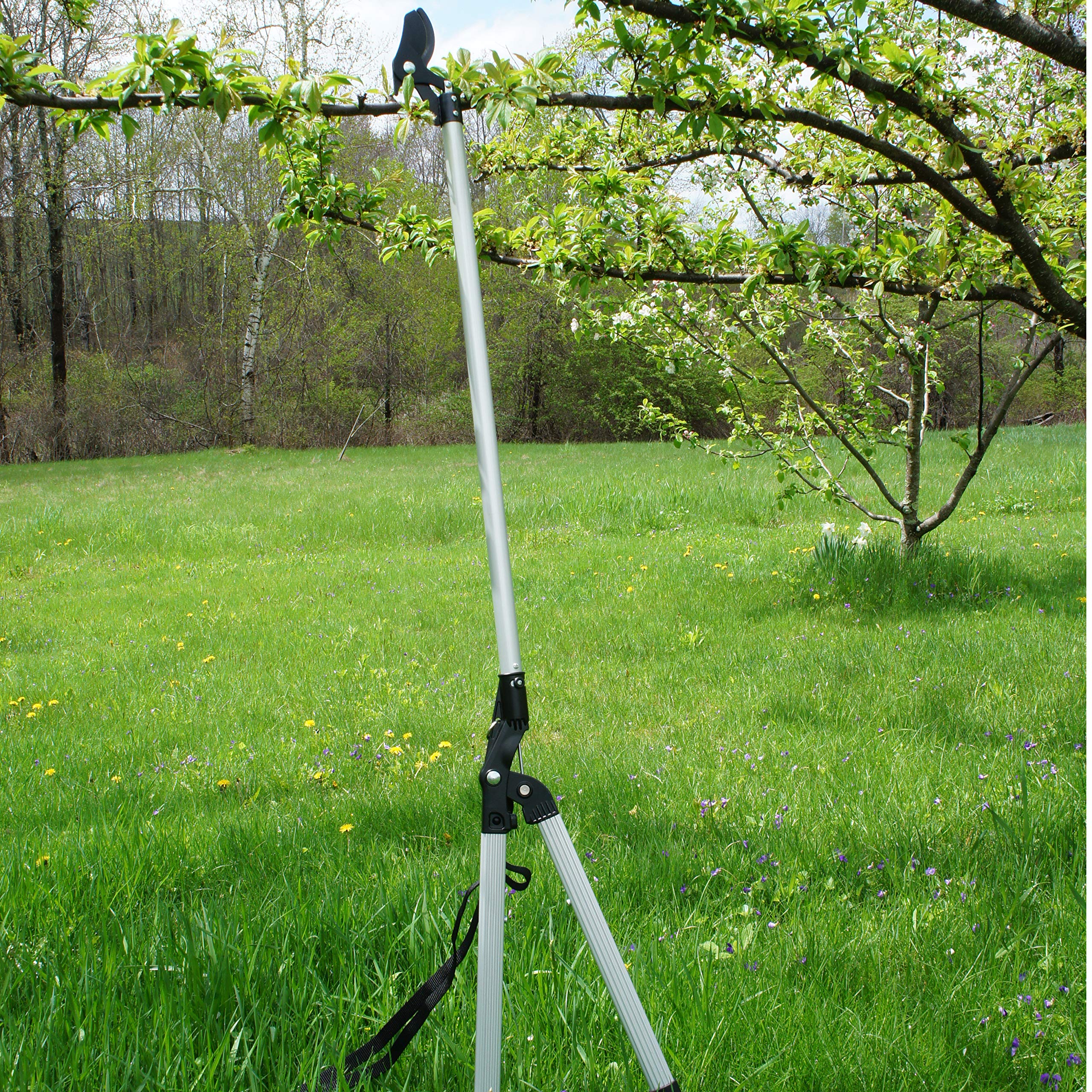 Kings County Tools rotating head close-up for precise angled branch cuts