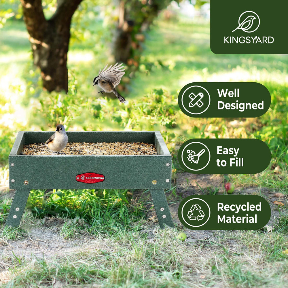 Kingsyard backyard setup showing feeder inviting birds and easy viewing