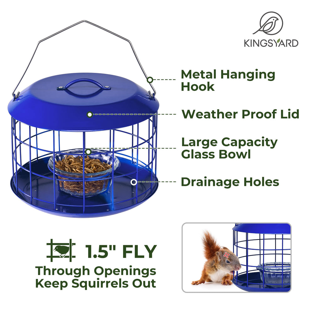 Kingsyard feeder with bluebird feeding illustrating bird attraction benefit