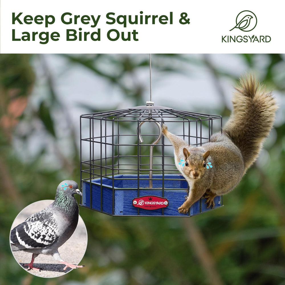 Kingsyard feeder in use with chickadee demonstrating easy bird access
