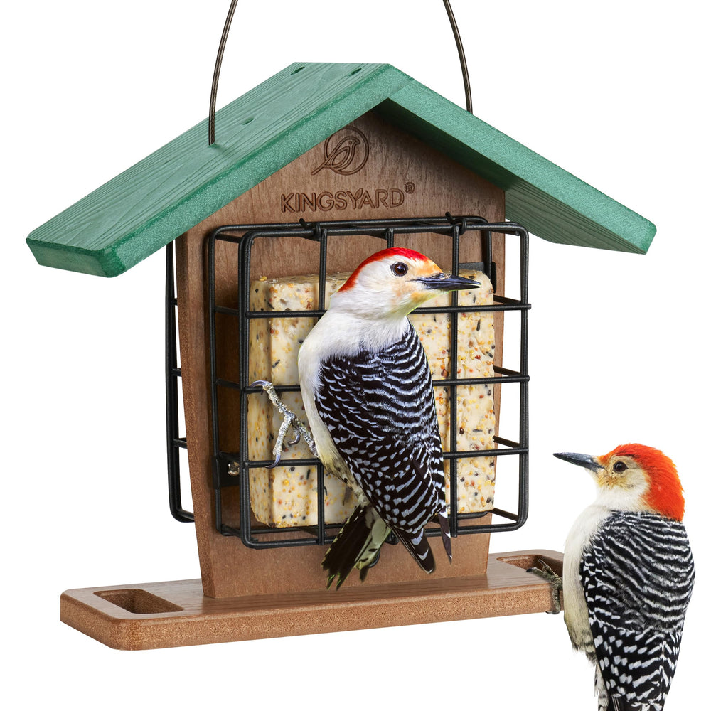 Kingsyard front profile of feeder showing dual cages and perch for easy viewing
