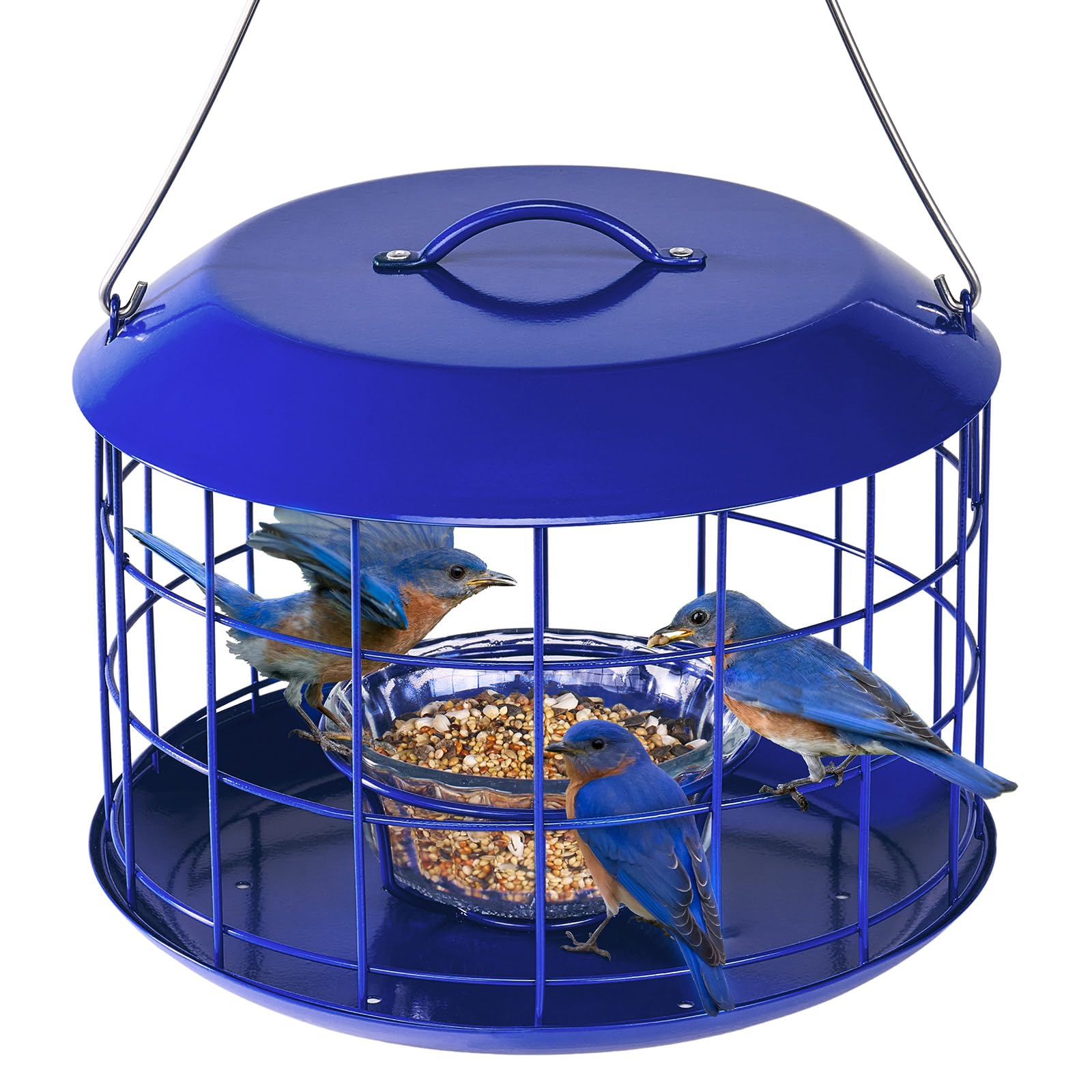Kingsyard front view showing hanging feeder and bird-friendly design benefit