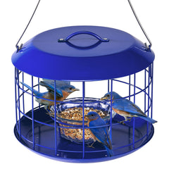 Kingsyard front view showing hanging feeder and bird-friendly design benefit