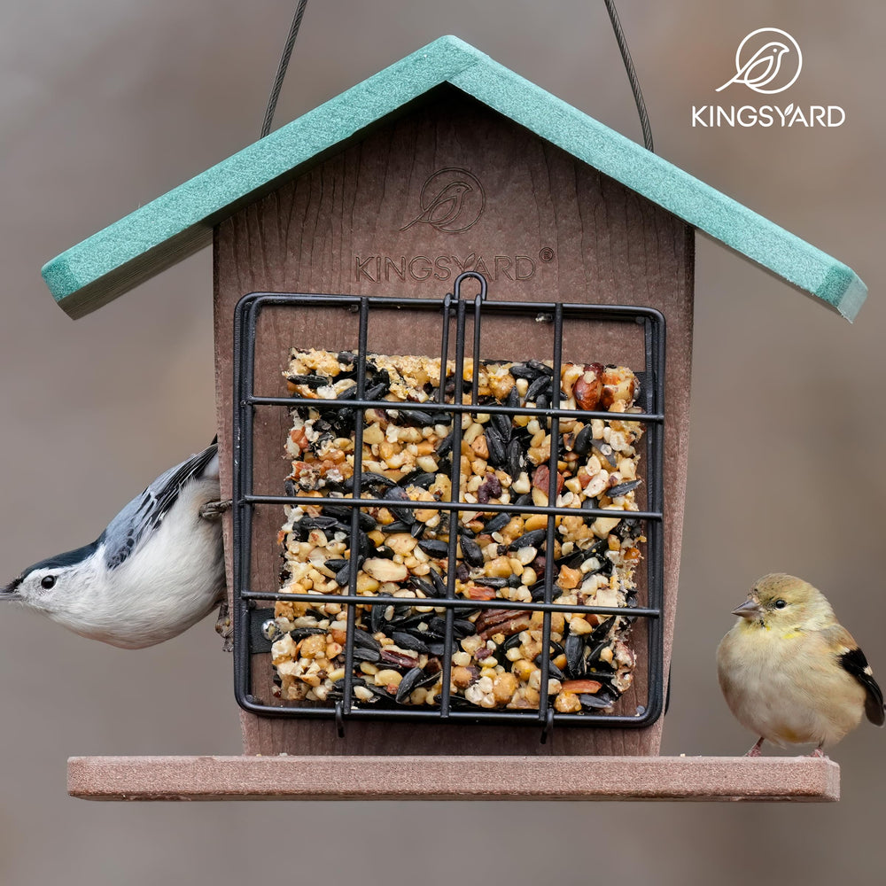Kingsyard feeder hanging in backyard attracting birds and enhancing viewing
