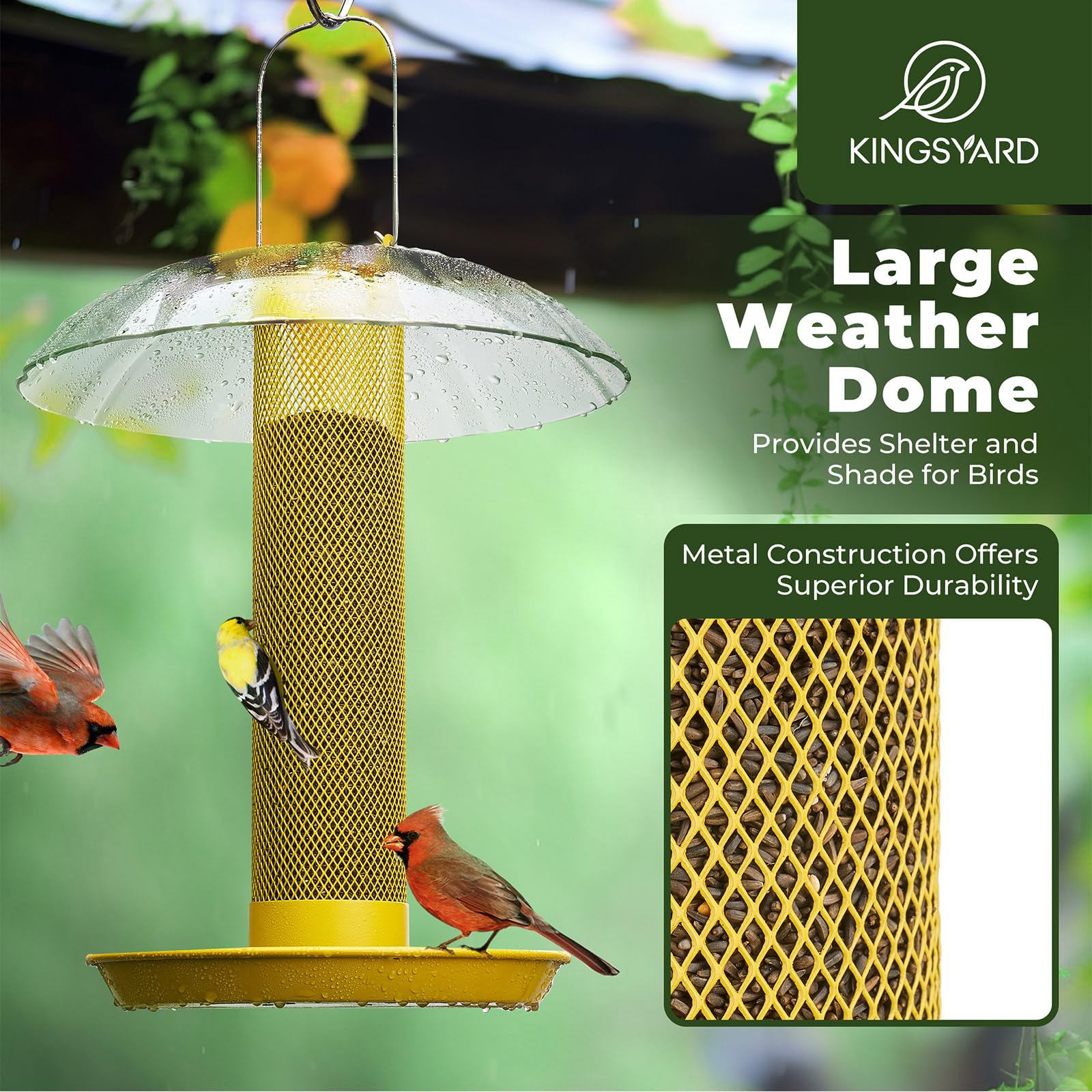 Kingsyard patio scene with feeder attracting birds for viewing enjoyment