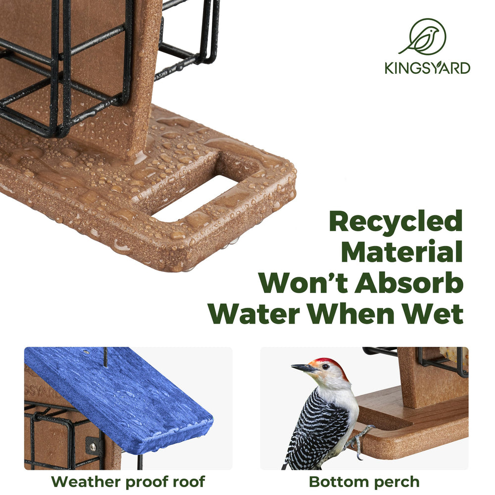Kingsyard perch and hanging rope visible for stable placement and viewing benefit