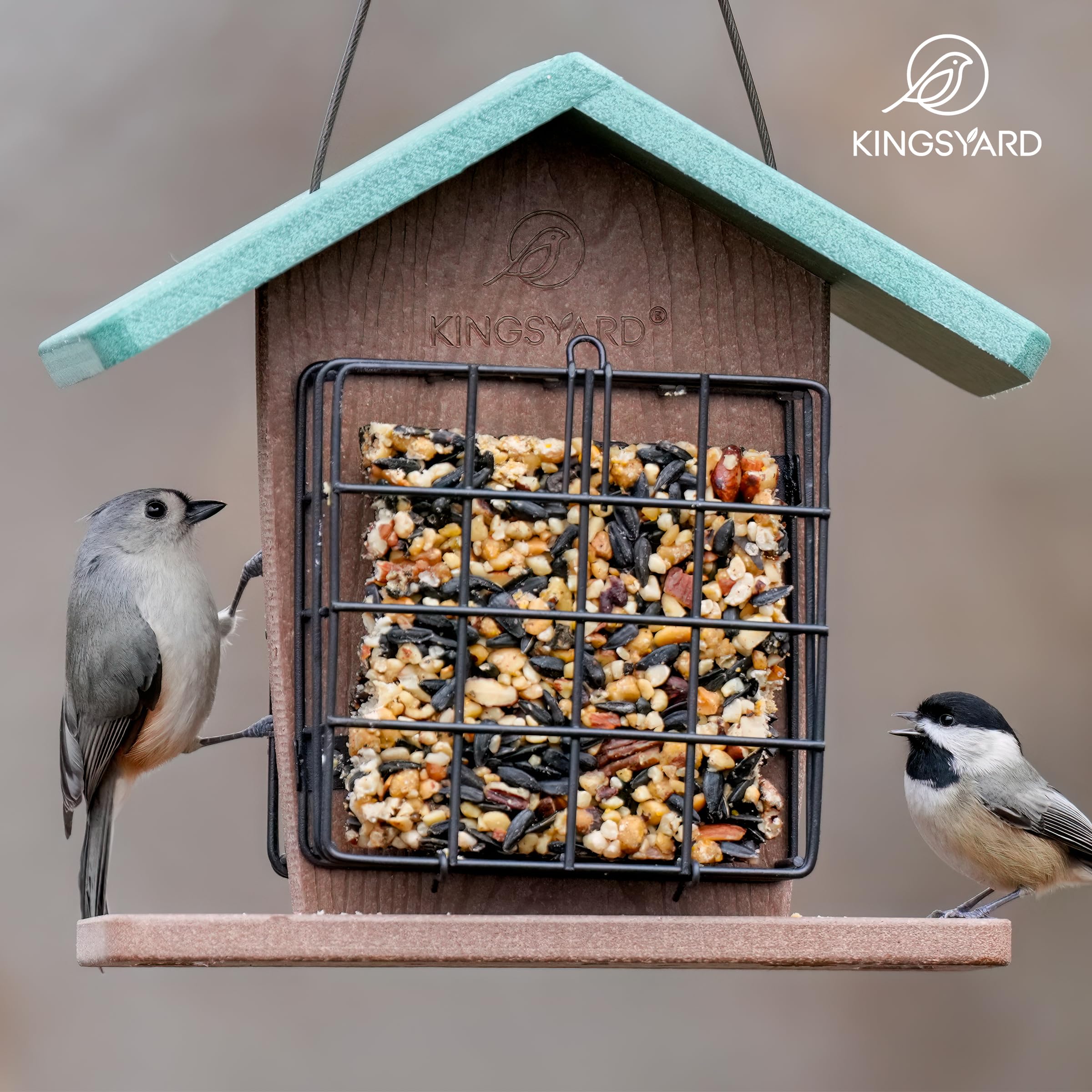 Kingsyard feeder held in hand showing compact size and easy installation