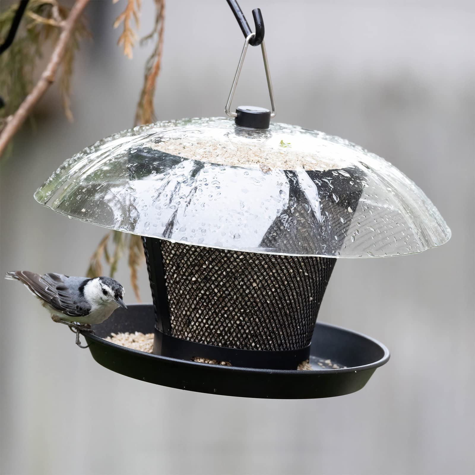 Kingsyard feeder held by hand showing compact size and easy handling