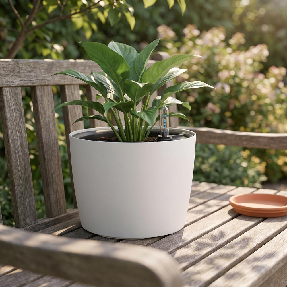 KINJOEK size scale on windowsill next to coffee mug showing compact fit