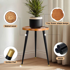 KINNARY plant stand in living room with pots, elevates indoor greenery