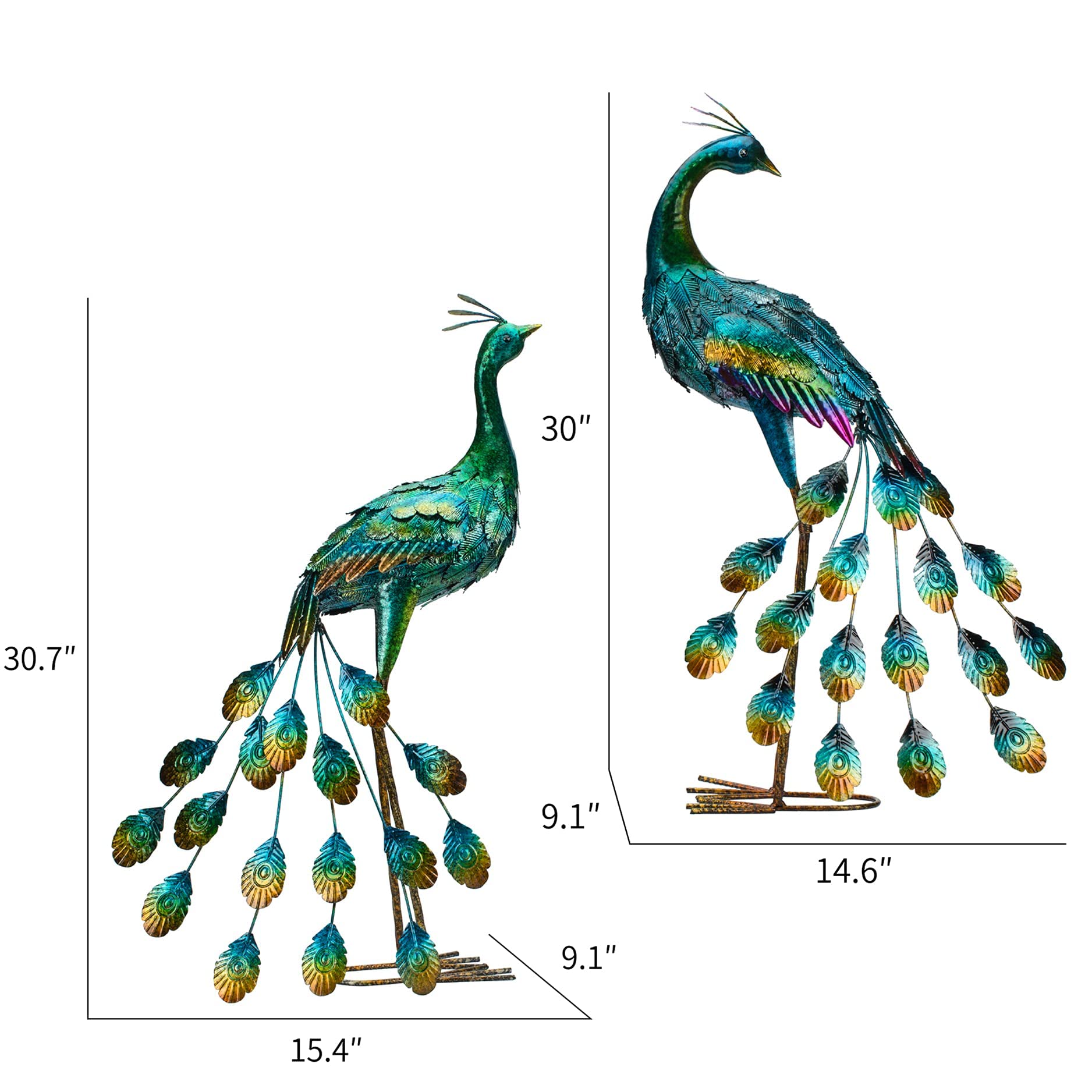 Kircust peacock back view highlighting dimensional posture and visual depth