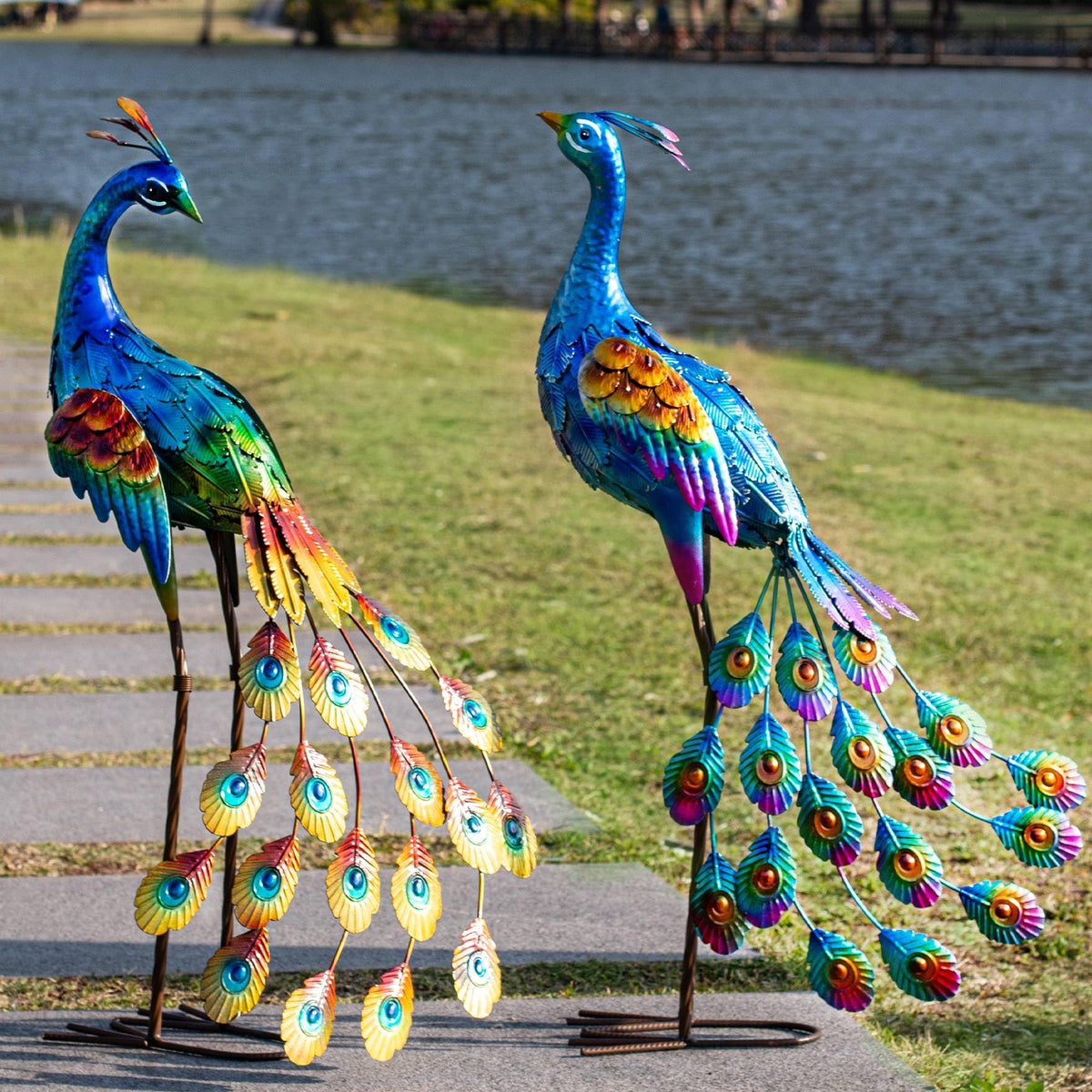 Kircust peacock front view showing vibrant colors and garden charm