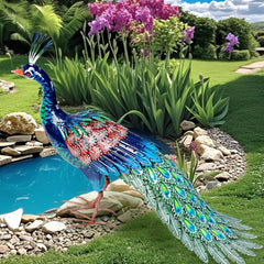 Kircust peacock front view showing colorful sculptural focal point and curb appeal