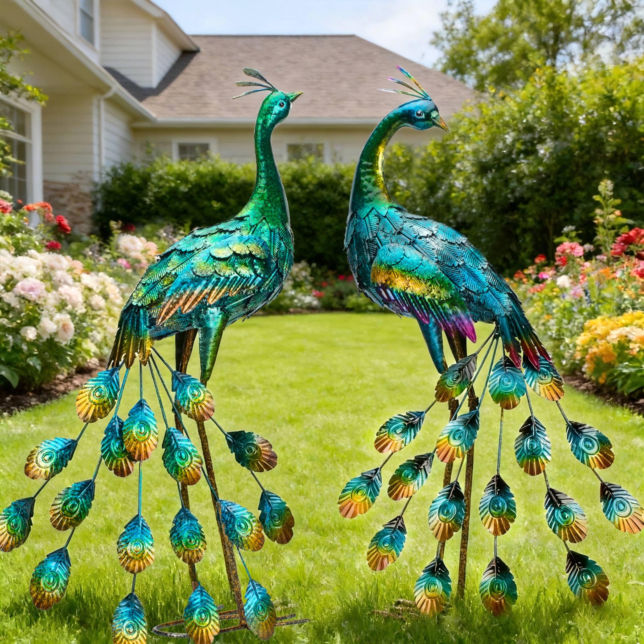 Kircust peacock in garden setting demonstrating decorative curb appeal